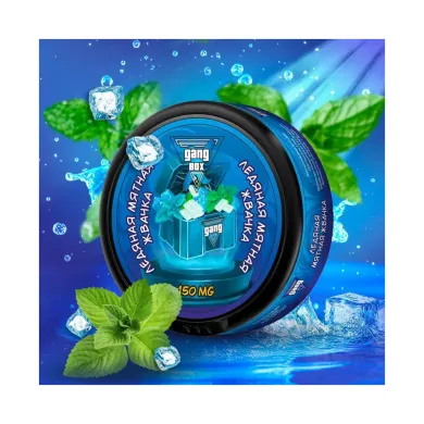 GANG Box | Ледяная Мятная Жвачка - Nicpack