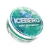 ICEBERG Strong 75 | Mint Explosion - Nicpack
