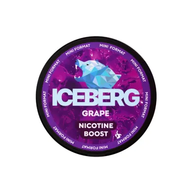ICEBERG Mini 75 | Grape - Nicpack